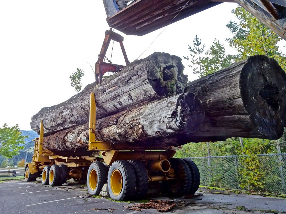 Flishuggeren: En essentiel maskine i skovarbejde